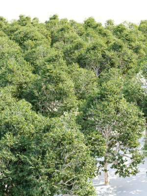 trees-collection-vol-252-3dsmax-blender-3d-model-c13960aee4