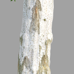 Trees Collection vol 252-3dsmax-blender