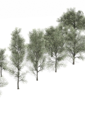 trees-for-game-3d-model-low-poly-obj-fbx-ma