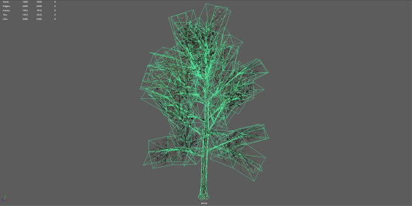 Trees