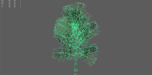 Trees