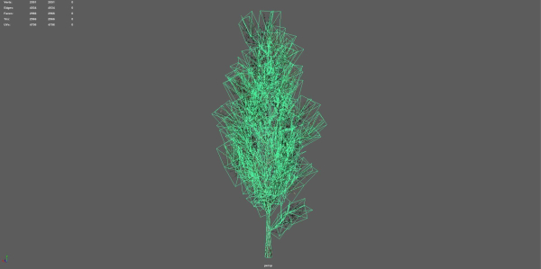 Trees