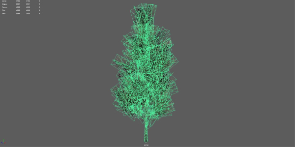 Trees