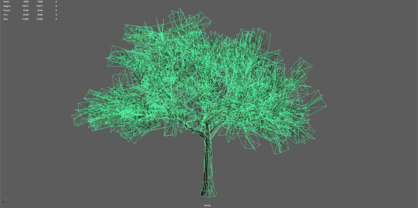 Trees