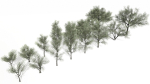 Trees