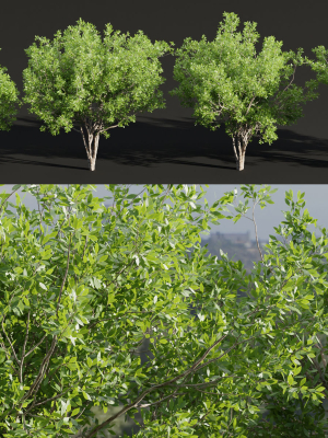 Trees for landscape collection vol 204-Blender