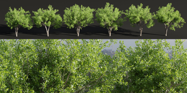 Trees for landscape collection vol 204-Blender
