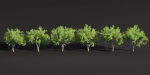 Trees for landscape collection vol 204-Blender