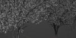 Trees for landscape collection vol 204-Blender