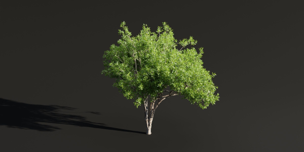Trees for landscape collection vol 204-Blender