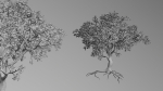 Trees pack
