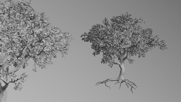 Trees pack