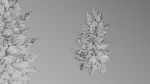 Trees pack