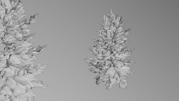 Trees pack