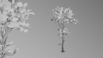 Trees pack