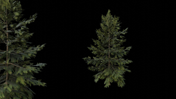 Trees pack