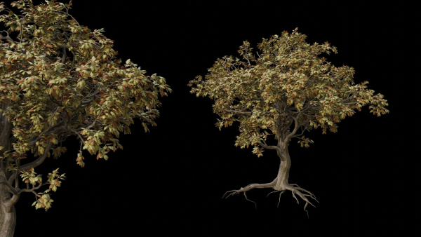 Trees pack