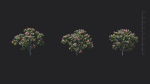 Trees - Rhododendron hybridum Models