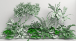 Tropic group of tropical plants