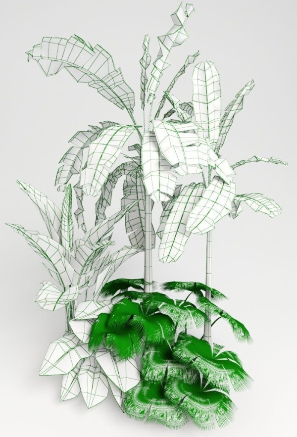 Tropic group of tropical plants