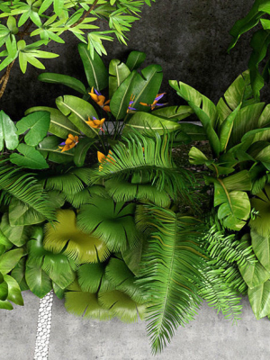 tropic-3d-model-6605c45621