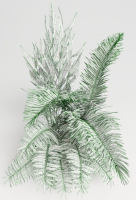 Tropic group of tropical plants