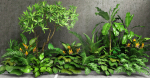 Tropic group of tropical plants