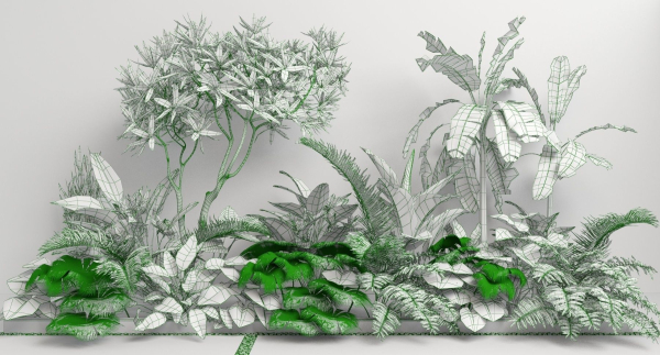 Tropic group of tropical plants
