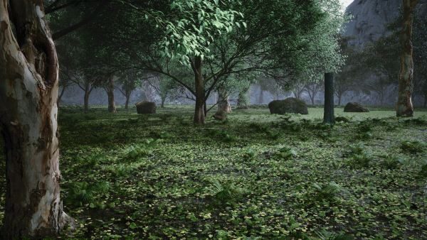 Tropical Forest