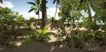 Tropical Plants For Game Engines UE4 asset and Unity3d asset ST