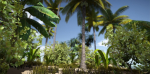 Tropical Plants For Game Engines UE4 asset and Unity3d asset ST