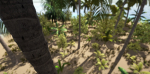 Tropical Plants For Game Engines UE4 asset and Unity3d asset ST