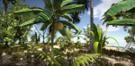Tropical Plants For Game Engines UE4 asset and Unity3d asset ST