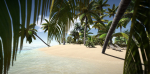 Tropical Plants For Game Engines UE4 asset and Unity3d asset ST