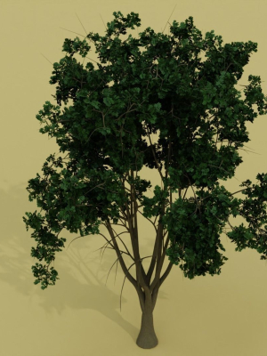 tropical-tree-3d-model-low-poly-fbx-blend