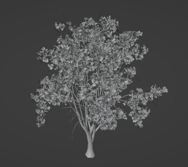 Tropical Tree
