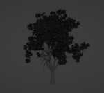 Tropical Tree