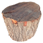 trunk 43