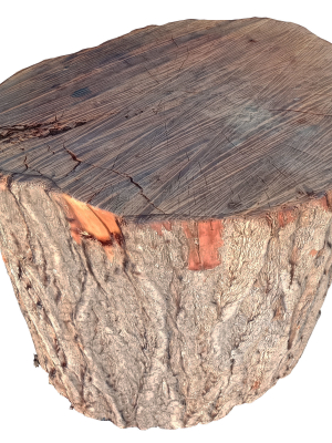 trunk-43-3d-model-max-obj-fbx