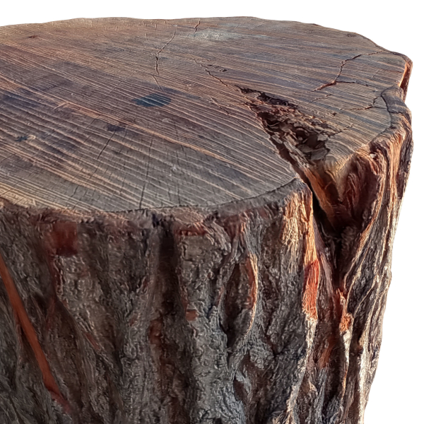 trunk 43