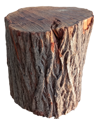 trunk 43