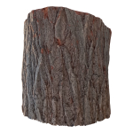 trunk 43