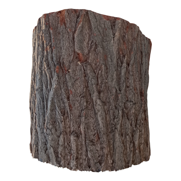 trunk 43