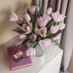 Tulip Flowers
