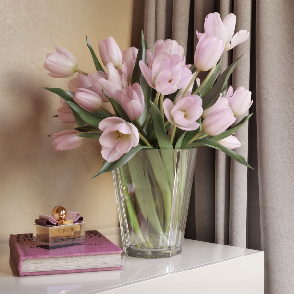 Tulip Flowers