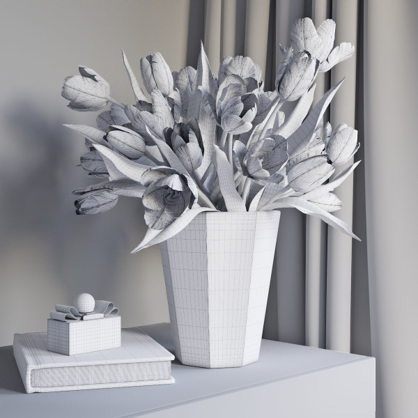 Tulip Flowers