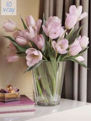 Tulip Flowers