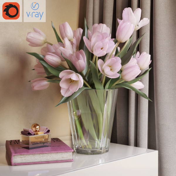 Tulip Flowers