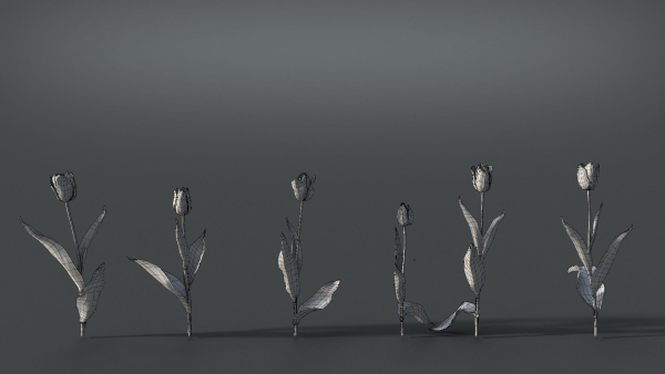 Tulip VFX Grace