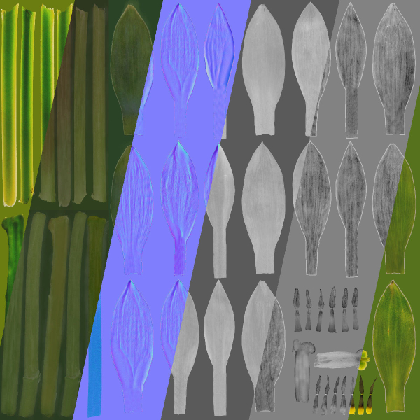 Tulip VFX Grace